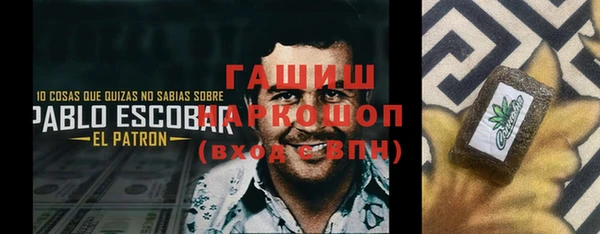 амф Гусь-Хрустальный