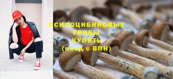 метадон Гусиноозёрск