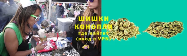 амф Гусь-Хрустальный