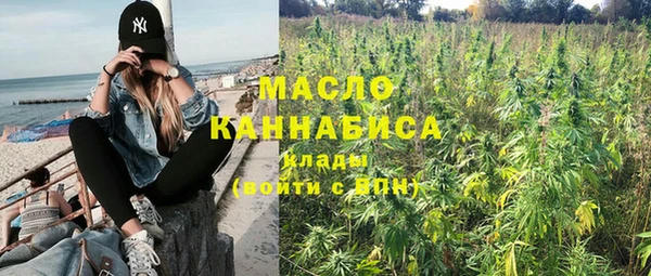 амф Гусь-Хрустальный
